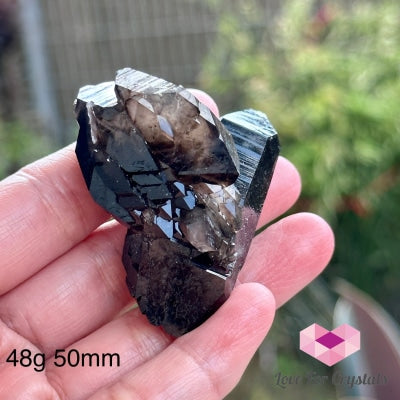 Black Quartz Morion Cluster (Brazil) 48G 50Mm Raw Crystal