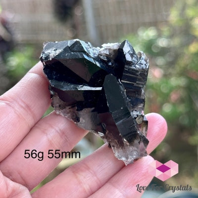 Black Quartz Morion Cluster (Brazil) 56G 55Mm Raw Crystal
