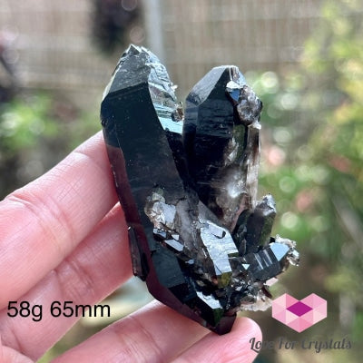 Black Quartz Morion Cluster (Brazil) 58G 65Mm Raw Crystal