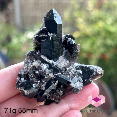 Black Quartz Morion Cluster (Brazil) 71G 55Mm Raw Crystal