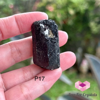Black Tourmaline Double Terminated Raw (Brazil) P17 Crystals