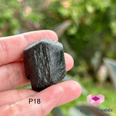 Black Tourmaline Double Terminated Raw (Brazil) P18 Crystals