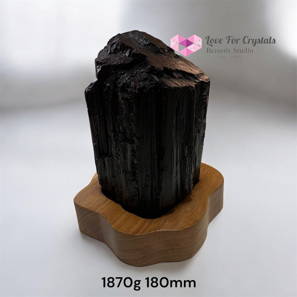 Black Tourmaline Raw with wooden stand (Large) Brazil AAA grade (Pre-activated) 1870g 180mm Raw crystals