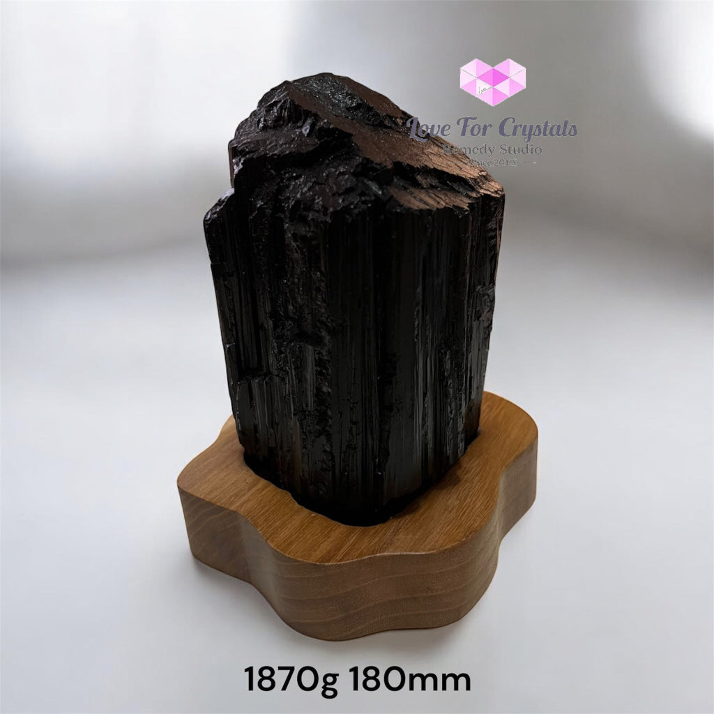 Black Tourmaline Raw with wooden stand (Large) Brazil AAA grade (Pre-activated) 1870g 180mm Raw crystals