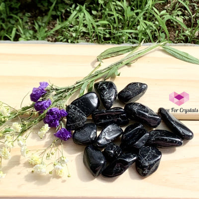 Black Tourmaline Tumbled Per Pack (50G) Brazil Stones