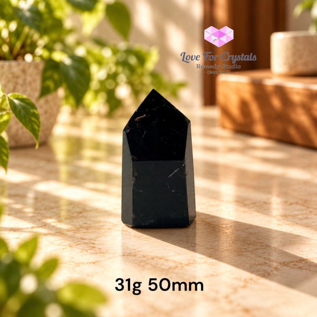 Black Tourmaline with Feldspar Mini Tower AAA (Brazil) - 31g 50mm - Black tourmaline