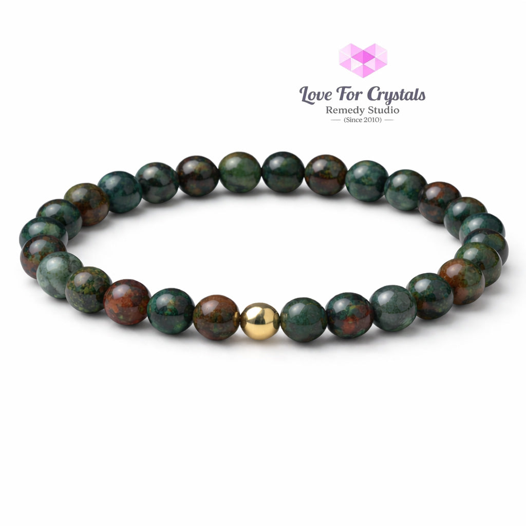 Bloodstone Good Health 6mm Bracelet with 14k gold filled bead Bracelets & Bangles