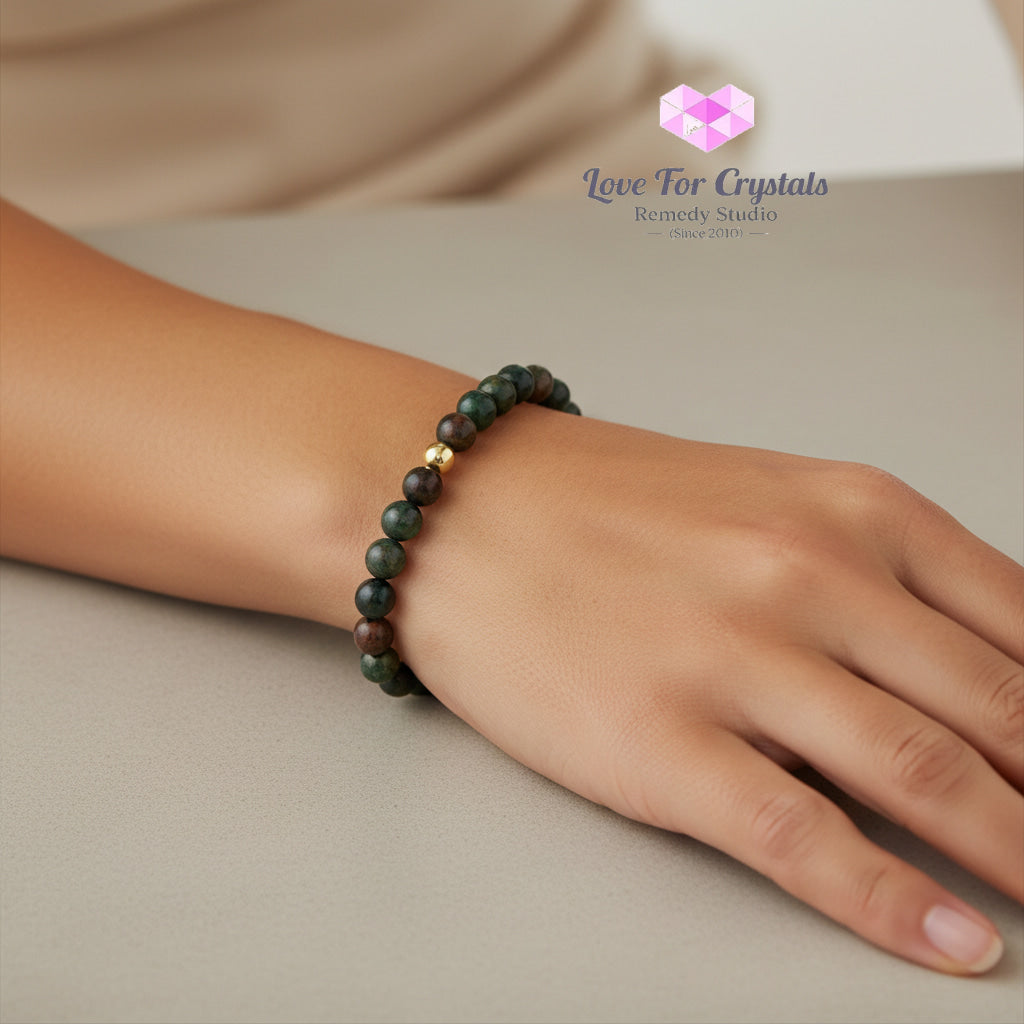 Bloodstone Good Health 6mm Bracelet with 14k gold filled bead Bracelets & Bangles