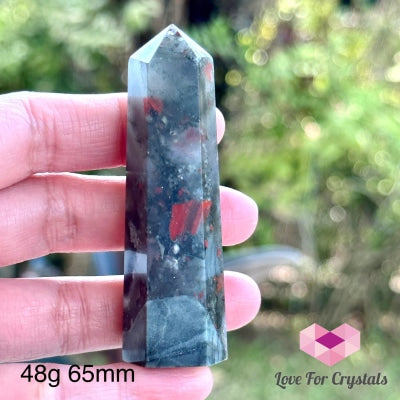 Bloodstone Tower Points (India) 48G 65Mm Polished Crystals