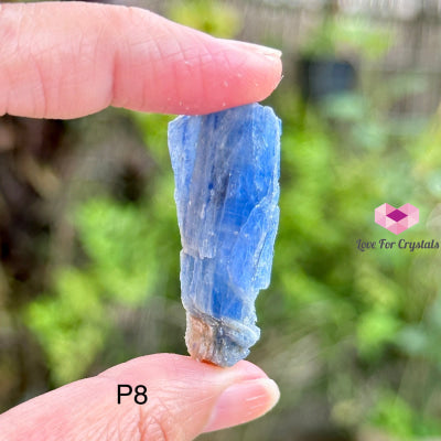Blue Kyanite Raw Blades (Brazil) 40-80Mm Photo 8 Crystals