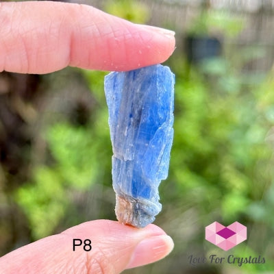 Blue Kyanite Raw Blades (Brazil) 40-80Mm Photo 8 Crystals