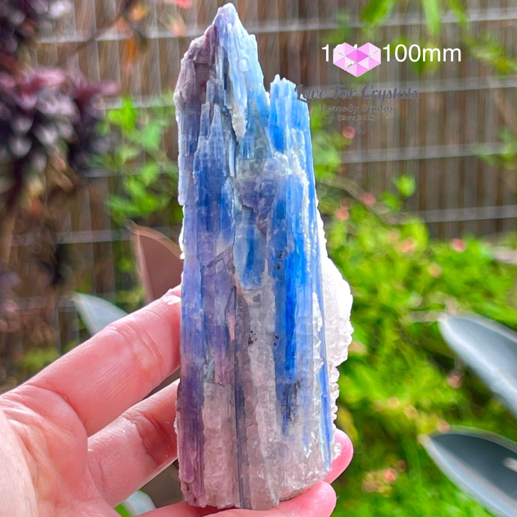 Blue Kyanite Raw (Brazil) 164G 100Mm Stones