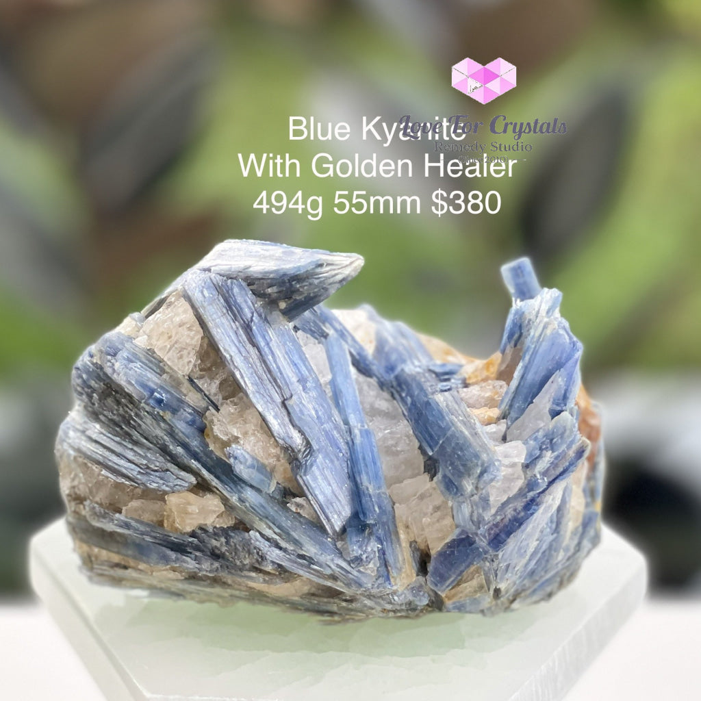 Blue Kyanite With Golden Healer (Brazil) Rare! 494G Raw