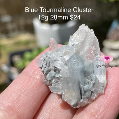 Blue Tourmaline Cluster (Indicolite) Brazil (Rare)