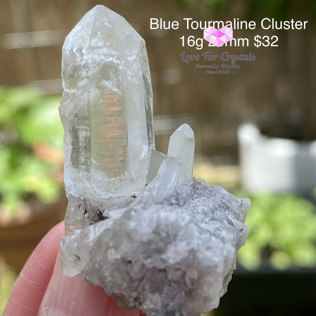 Blue Tourmaline Cluster (Indicolite) Brazil (Rare) 16G 20Mm