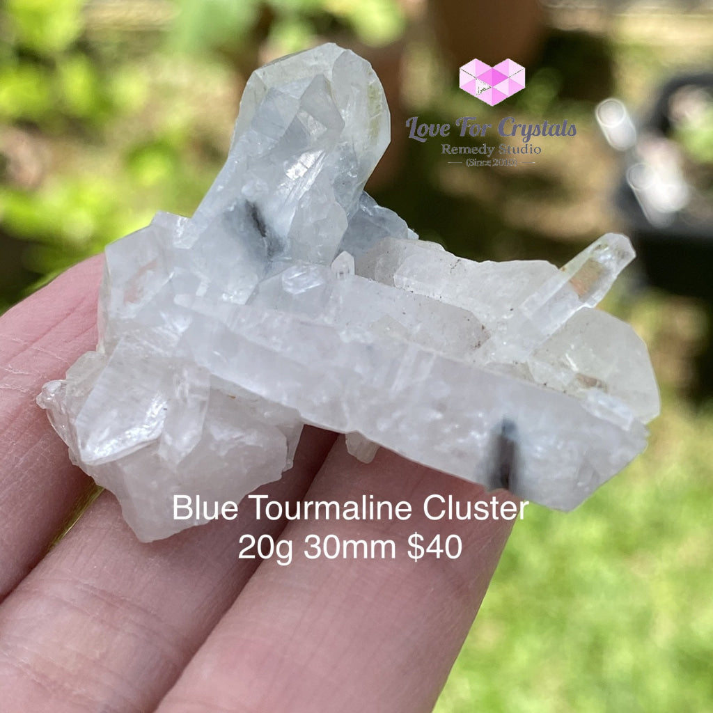Blue Tourmaline Cluster (Indicolite) Brazil (Rare)
