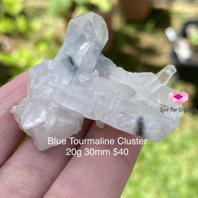 Blue Tourmaline Cluster (Indicolite) Brazil (Rare)