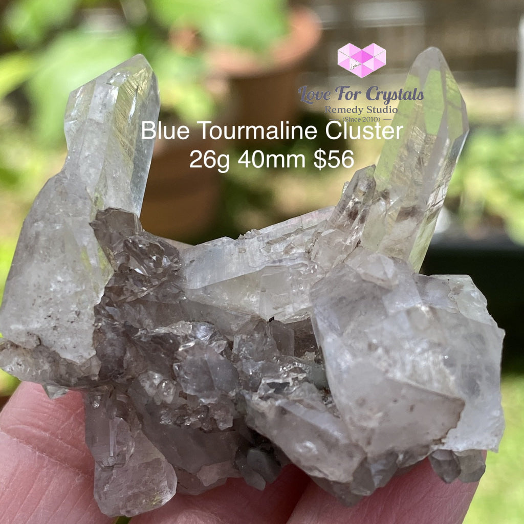 Blue Tourmaline Cluster (Indicolite) Brazil (Rare) 26G 40Mm