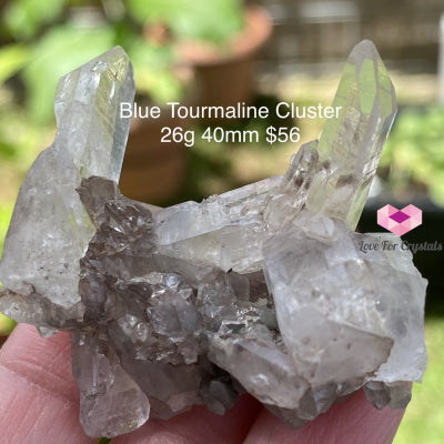 Blue Tourmaline Cluster (Indicolite) Brazil (Rare) 26G 40Mm