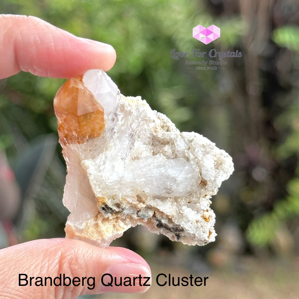 Brandberg Quartz Cluster (South Africa) Collectors