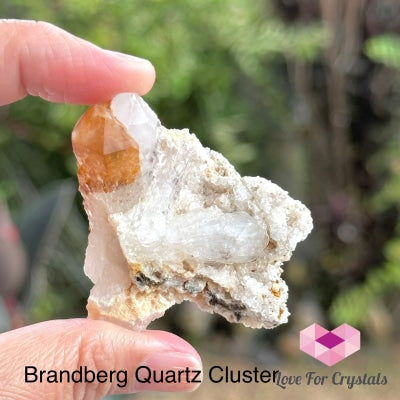 Brandberg Quartz Cluster (South Africa) Collectors