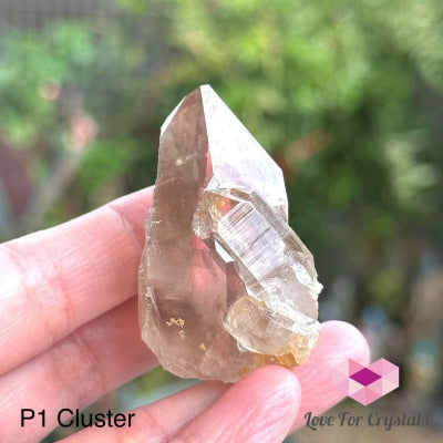 Brandberg Smoky Quartz Cluster (South Africa) Collectors P1 - 50Mm Raw Crystals