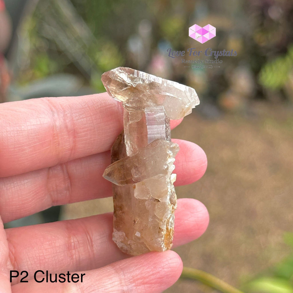 Brandberg Smoky Quartz Cluster (South Africa) Collectors P2 - 55Mm Raw Crystals