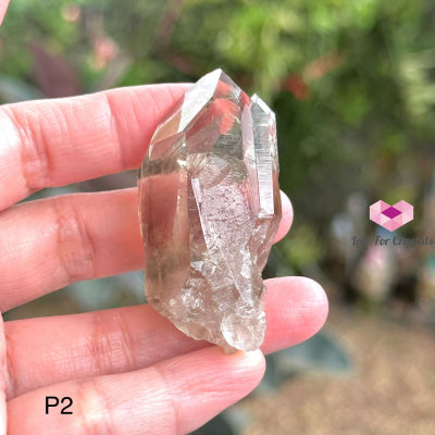 Brandberg Smoky Quartz Point (South Africa) Collectors P2 - 55Mm Raw Crystals