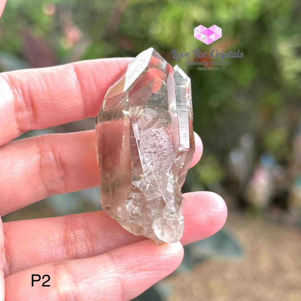 Brandberg Smoky Quartz Point (South Africa) Collectors P2 - 55Mm Raw Crystals