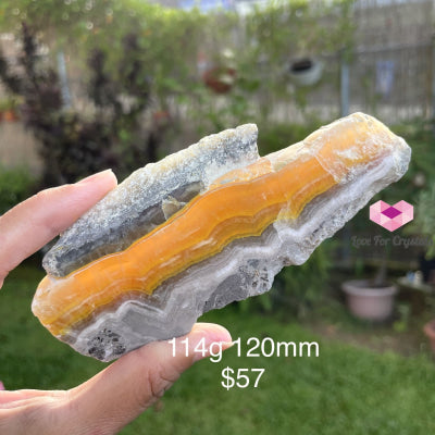 Bumble Bee Jasper Slabs (Indonesia) 114G 120Mm