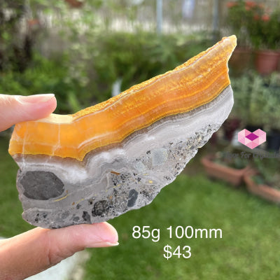 Bumble Bee Jasper Slabs (Indonesia) 85G 100Mm