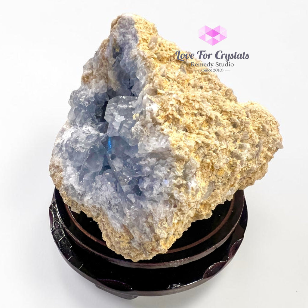 CELESTITE RAW GEODE CAVE 2.9kgs (Angelic Sanctuary) - 2.9kgs 16cmW x 10cmH - Celestite