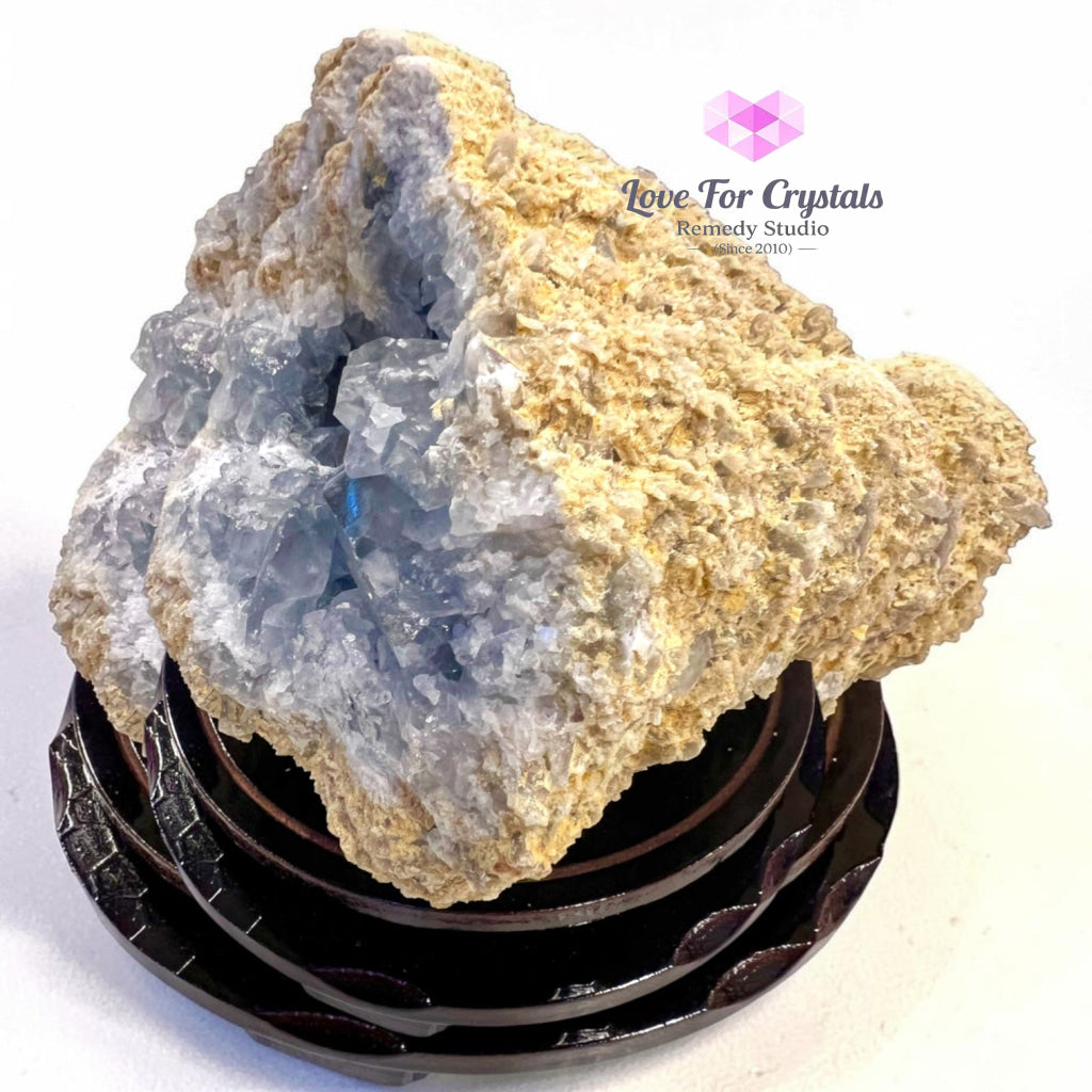 CELESTITE RAW GEODE CAVE 2.9kgs (Angelic Sanctuary) - 2.9kgs 16cmW x 10cmH - Celestite