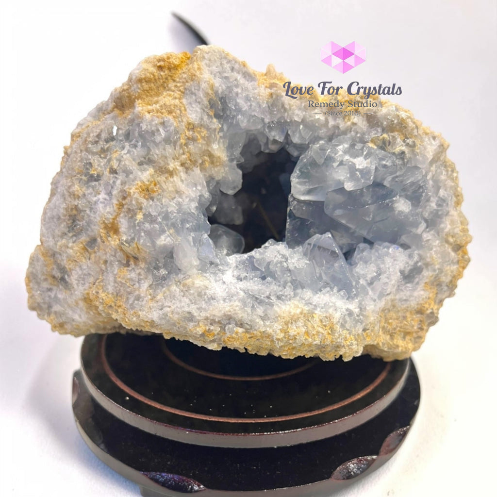 CELESTITE RAW GEODE CAVE 2.9kgs (Angelic Sanctuary) - 2.9kgs 16cmW x 10cmH - Celestite