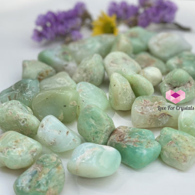 Chrysoprase Tumbled (Brazil) Stones