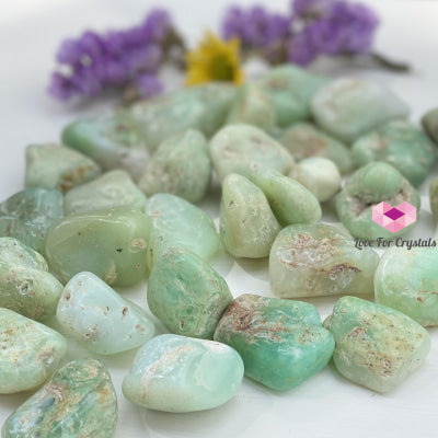 Chrysoprase Tumbled (Brazil) Stones