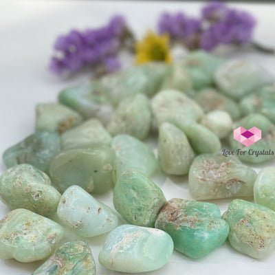 Chrysoprase Tumbled (Brazil) Stones
