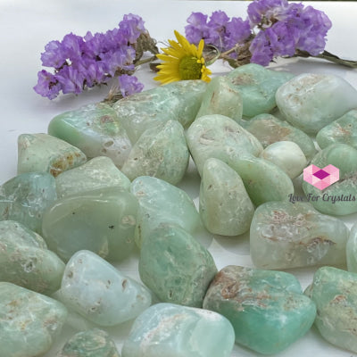 Chrysoprase Tumbled (Brazil) Pack Of 3 (20-35Mm) Stones