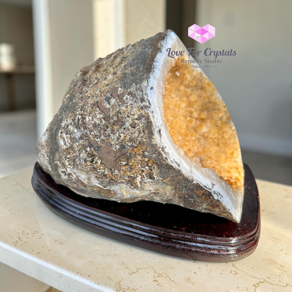 Citrine Cornucopia Money Catcher™ (RARE Abundance Vessel) 8.44 kg - 8.44 kgs