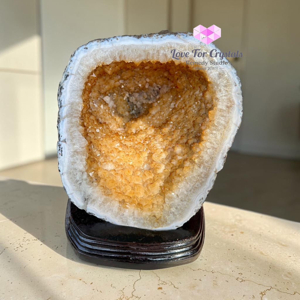 Citrine Cornucopia Money Catcher™ (RARE Abundance Vessel) 8.44 kg - 8.44 kgs