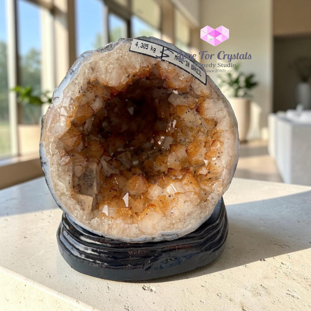 Citrine Cornucopia Money Catcher™ (RARE Wealth Container) 4.3kgs - 4.3kgs - Citrine