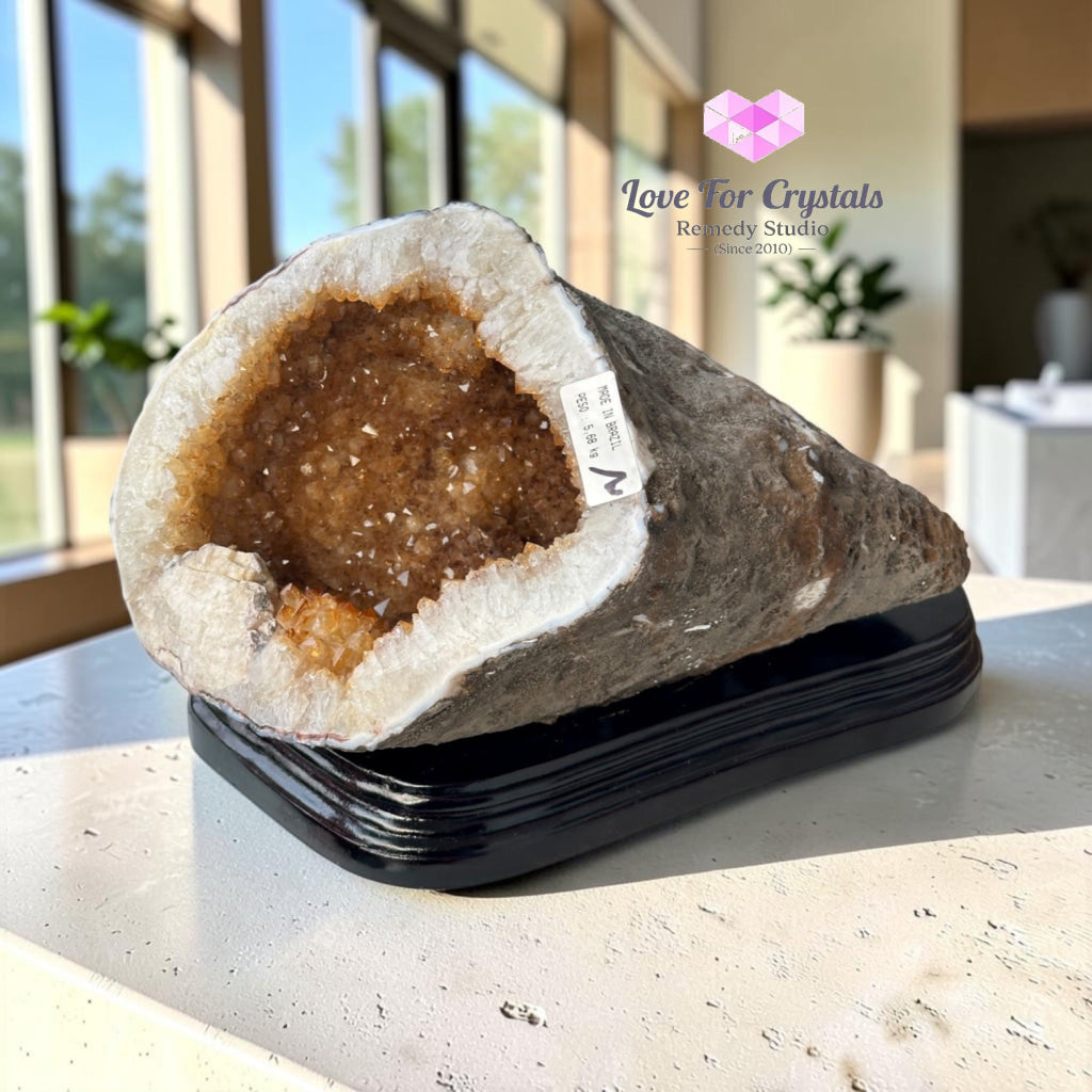 Citrine Cornucopia Money Catcher™ (RARE Wealth Container) 5.68kgs - 5.68kgs - Citrine