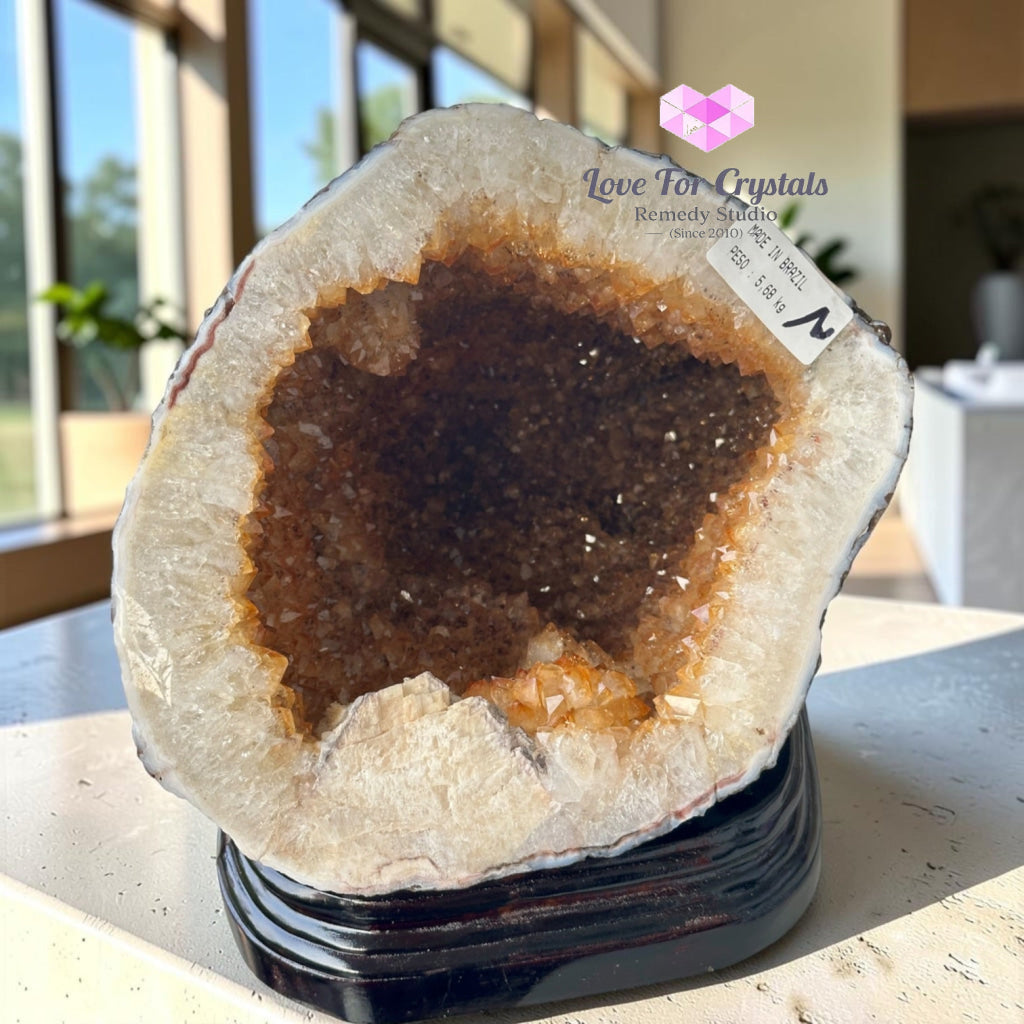 Citrine Cornucopia Money Catcher™ (RARE Wealth Container) 5.68kgs - 5.68kgs - Citrine