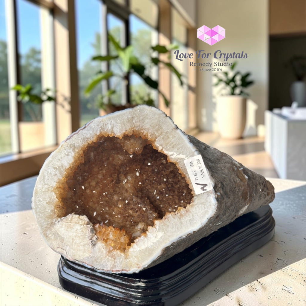 Citrine Cornucopia Money Catcher™ (RARE Wealth Container) 5.68kgs - 5.68kgs - Citrine