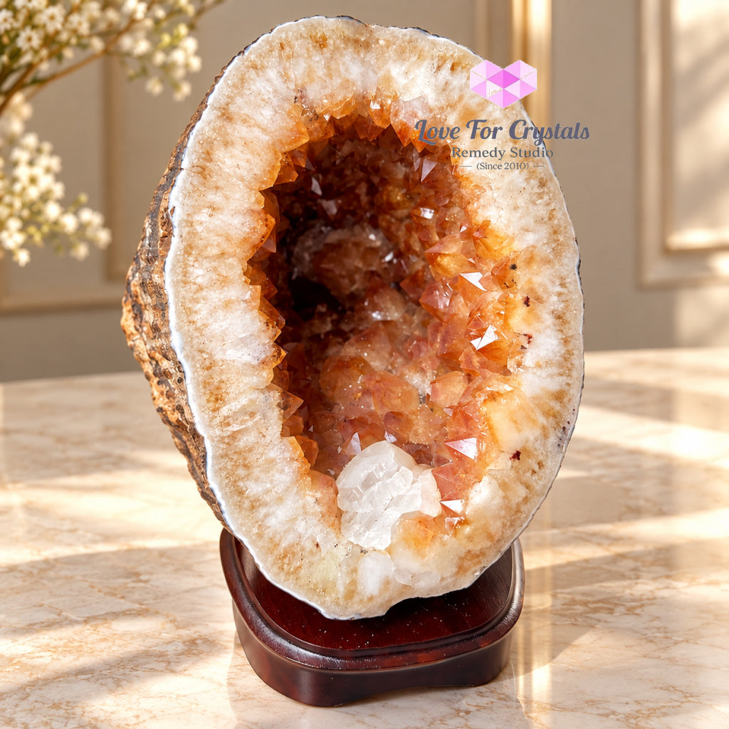 Citrine Cornucopia Money Catcher™ (RARE Wealth Container) 6.24kgs - Citrine