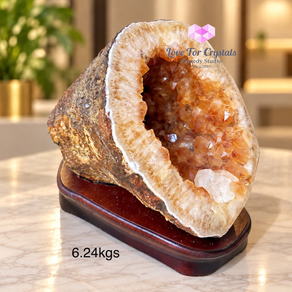 Citrine Cornucopia Money Catcher™ (RARE Wealth Container) 6.24kgs - Citrine