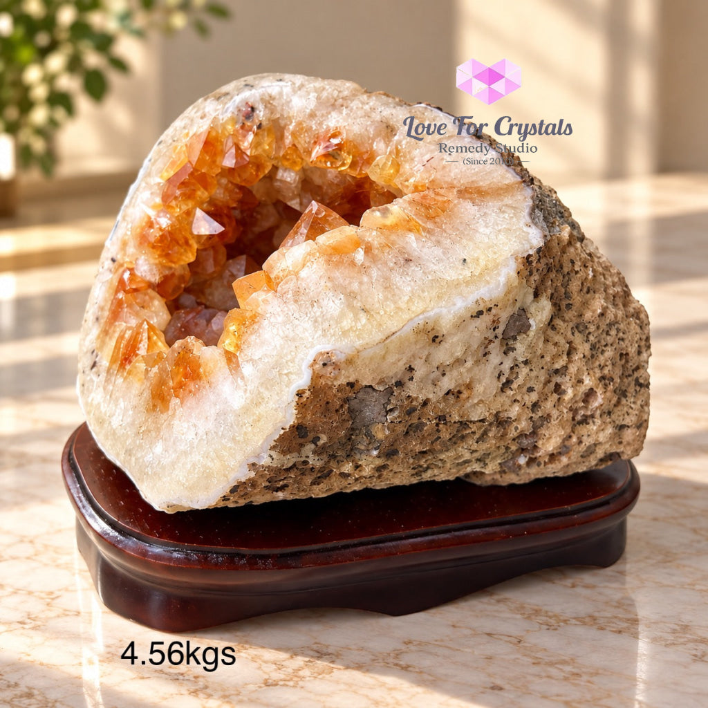 Citrine Cornucopia Money Catcher™ (RARE Wealth Container) - Citrine