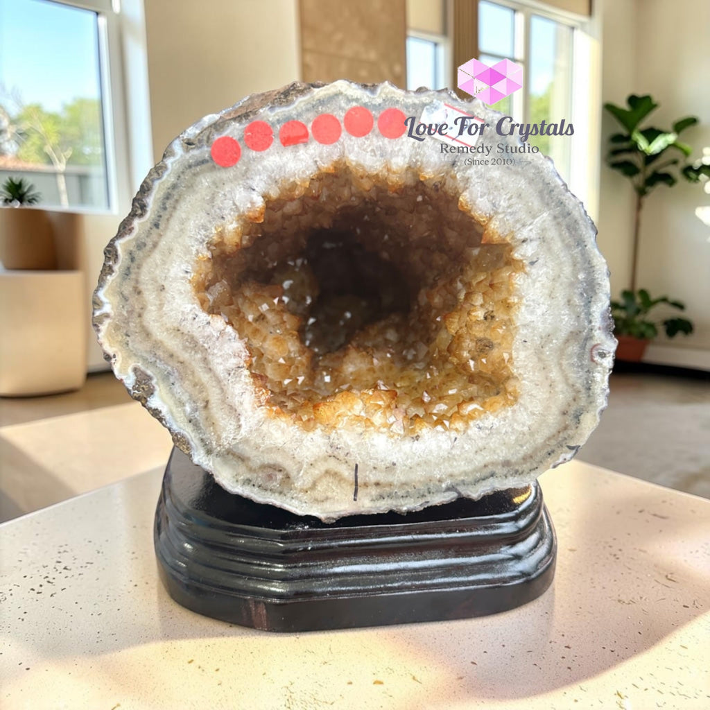 Citrine Cornucopia Money Catcher™ (RARE Wealth Container) 7.9kg - 7.9kgs - Citrine