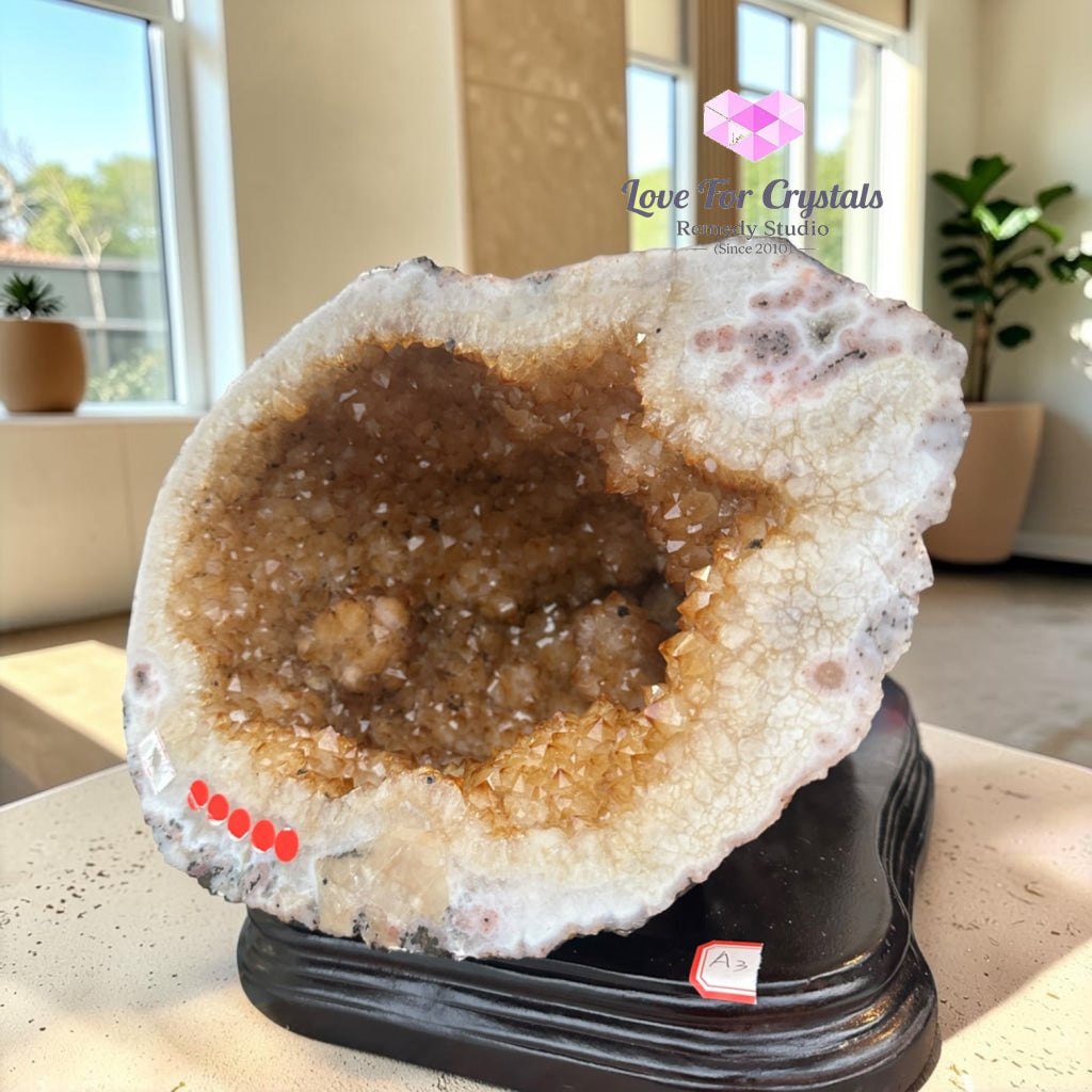 Citrine Cornucopia Money Catcher™ (RARE Wealth Container) 8.4kgs - 8.4kgs - Citrine