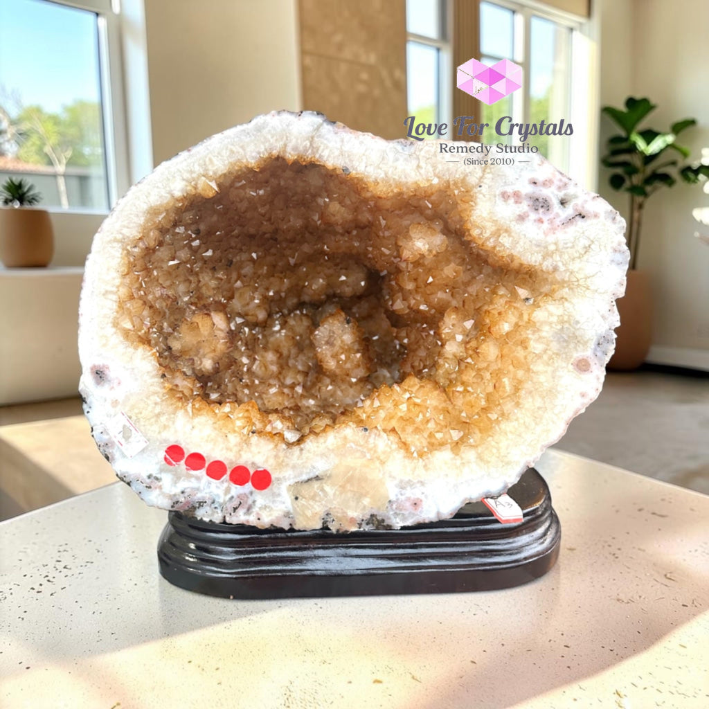 Citrine Cornucopia Money Catcher™ (RARE Wealth Container) 8.4kgs - 8.4kgs - Citrine